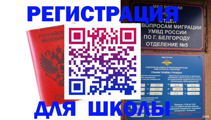 форма 3 в Камчатской области